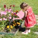 thumbnail image 5 of JilgTeok Horticultural Iron Sheet 600ML Watering Can Kettle Children's Watering Pot Planting Tool Mini Watering Can Mini Toy Beach Garden Watering Bucket Outdoor for Kids, 5 of 5