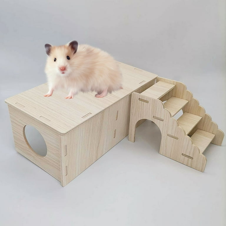 Hamster keeps top climbing cage