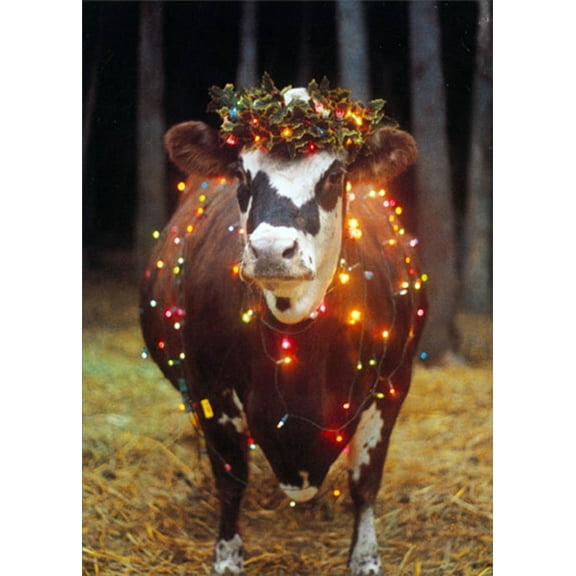 Northern Exposure Cow Wrapped in Light String Funny / Humorous Box of 12 Christmas Cards