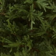 thumbnail image 2 of National Tree Company 7-1/2-Fo National 729083764783National, 2 of 5