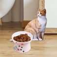 thumbnail image 2 of Juego de de cerámica para gatos, de comida y agua para gatos grandes mayores, 65 mm x 105 mm x 90 mm jinwen Cuenco elevado para gatos, 2 of 8