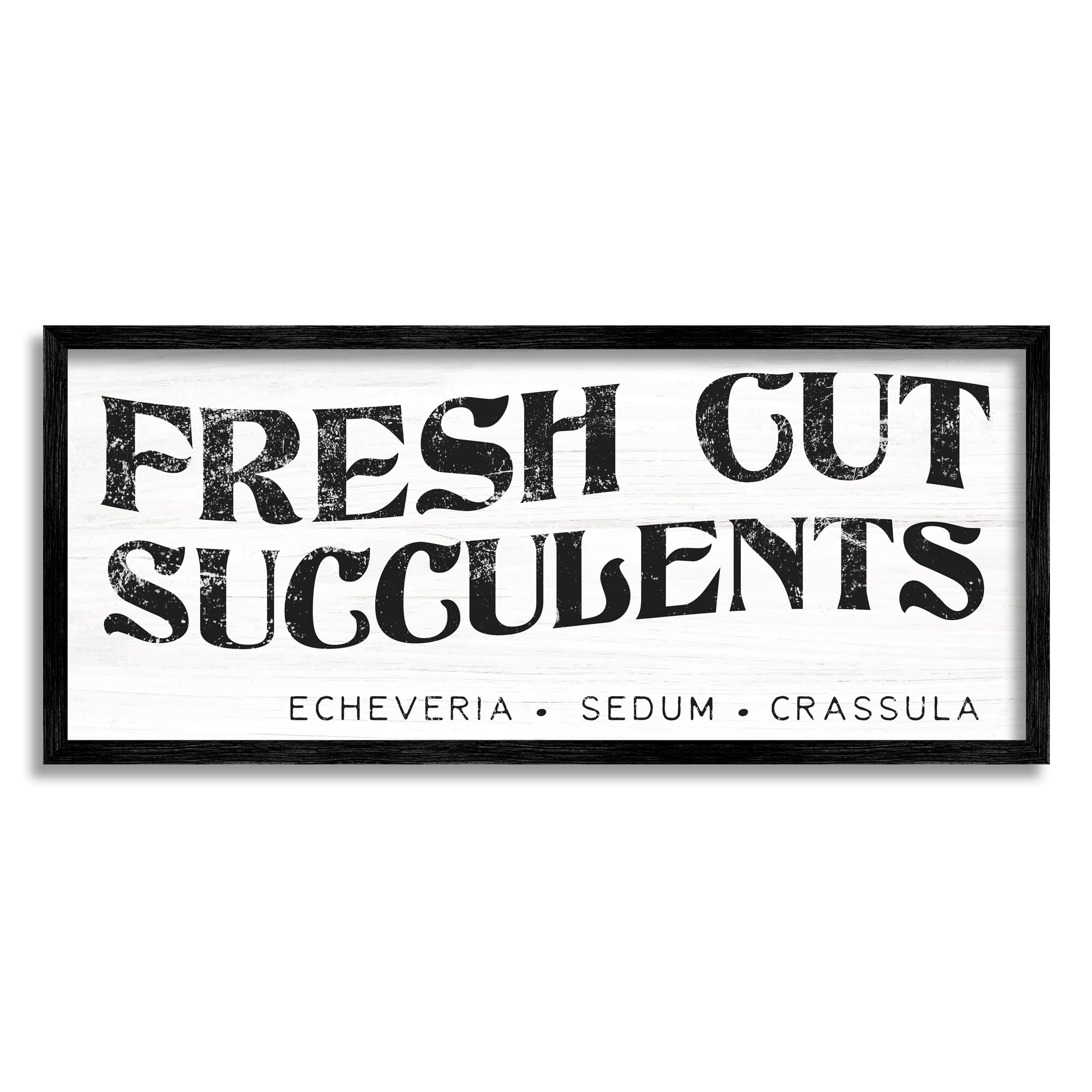 Stupell Industries Fresh Cut Succulents Antique Style Grainy Sign Graphic Art White Framed Art Print Wall Art, Design by Daphne Polselli