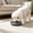 Blue, variant on huayou Wide Shallow Pet Feeding Bowl, Non-Slip Matte Eating Dish for Small Dogs & Indoor Cats, Whisker Friendly Flat Plate for Dry Kibble, Wet Food And Freeze-Dried Snacks