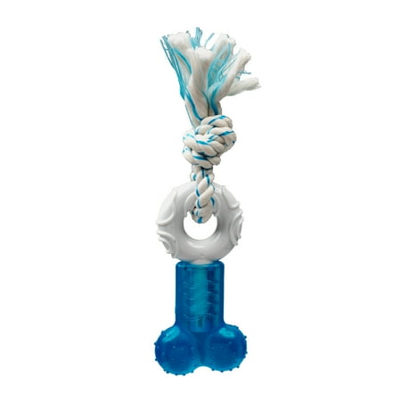 UPC: 0784369511536 | Multipet Canine Clean Peppermint Scented Dog Chew Toy  Bone with Ring and Rope  Blue