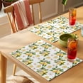 thumbnail image 4 of Lemon Flowers Placemats Set of 12 Country Floral Summer Lemon Fruit Place Mats Indoor Wipeable Table Mats Washable Cloth Dining Table Placemats for Kitchen Holiday Party Home Decor 13x19 Inch, 4 of 9