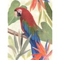 thumbnail image 2 of Warren, Annie 15x18 Gold Ornate Wood Framed with Double Matting Museum Art Print Titled - Tropical Parrot Composition III, 2 of 4