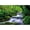 Style2, variant on Jungle Flowing Stream Forest Waterfall Backdrop Tropical Rainforest River Rock Moss Spring Nature Scenery Photography Background Party Decorations Banner Supplies Photo Booth Props