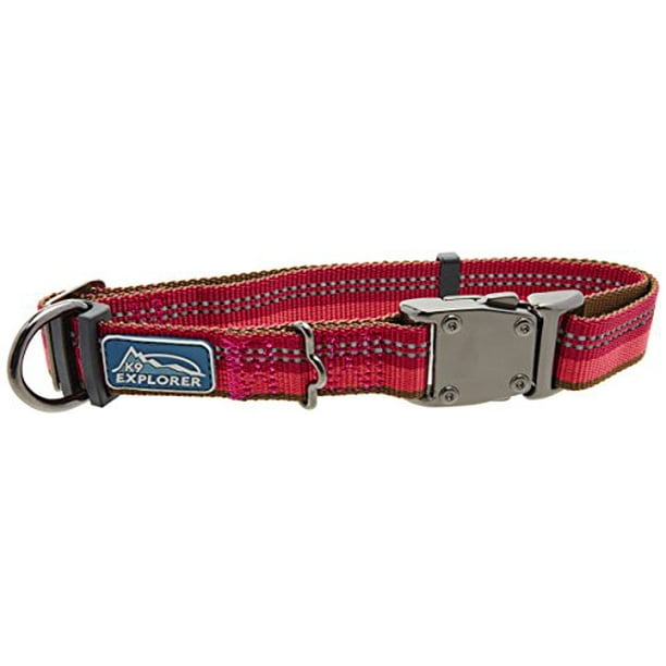 Berry dog cheap collar