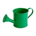 thumbnail image 2 of Vintage Wrought Iron Watering Can Decorative Vase,Multi‑Purpose Small Household Storage Container For Indoor Home Decor.Green, 2 of 6
