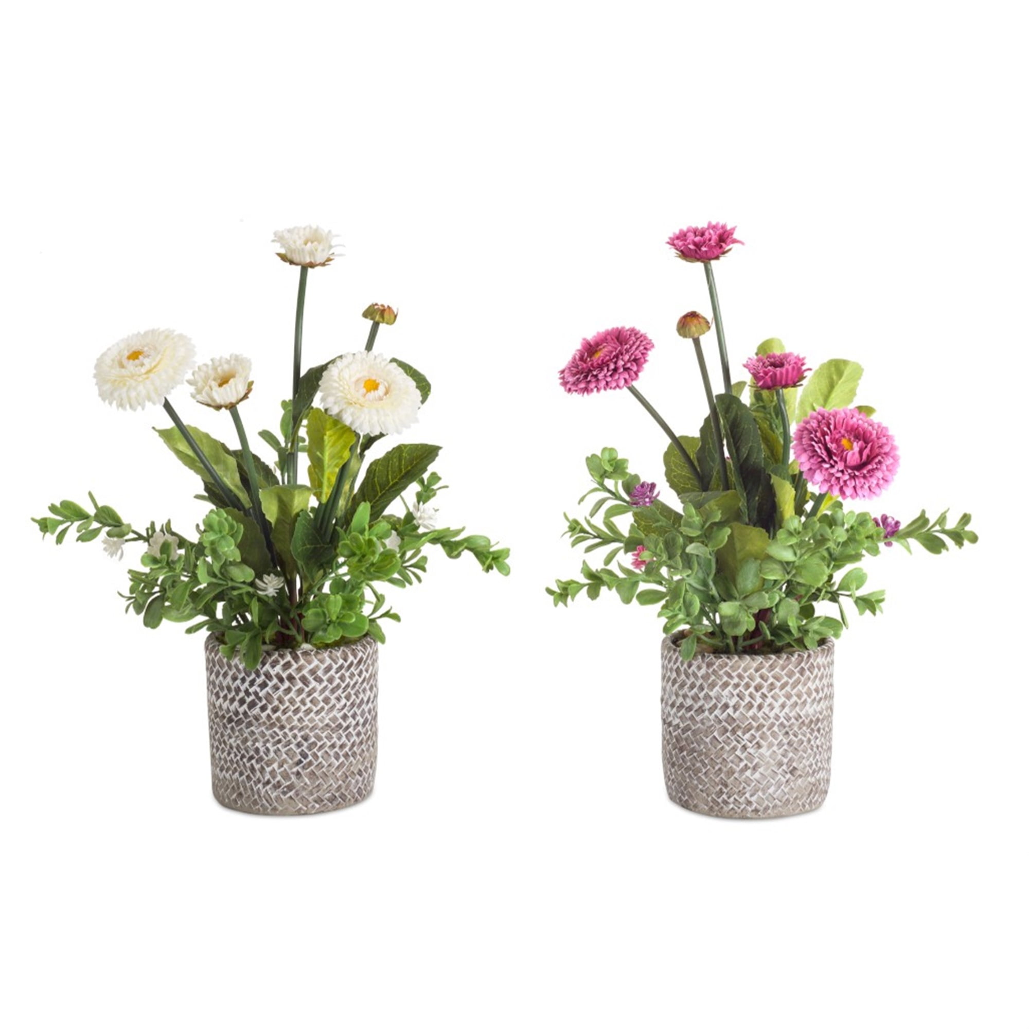 Potted Mum (Set of 2) 14"H Polyester/Cement