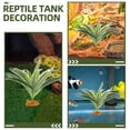 thumbnail image 3 of TABLETREANDS 2Ud Para Terrario De Reptiles Artificial Material Y, 3 of 7