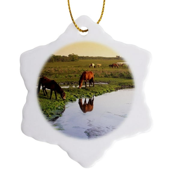 3drose, Chincoteague Horses, Virginia, Usa - Us47 Dpb0008 - Douglas Peebles, 3 inch Snowflake Porcelain Ornament