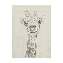 Trademark Fine Art 'Giraffe Portrait I' Canvas Art by Jennifer Goldberger