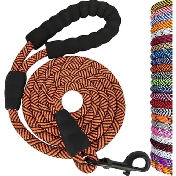 Eryueer Heavy Duty Rope Dog Leash, 6FT Nylon Pet Leash, Soft Padded Handle Thick Lead Leashes for Large Medium Dogs Walking Training (Orange Black line, 1/2" * 6')