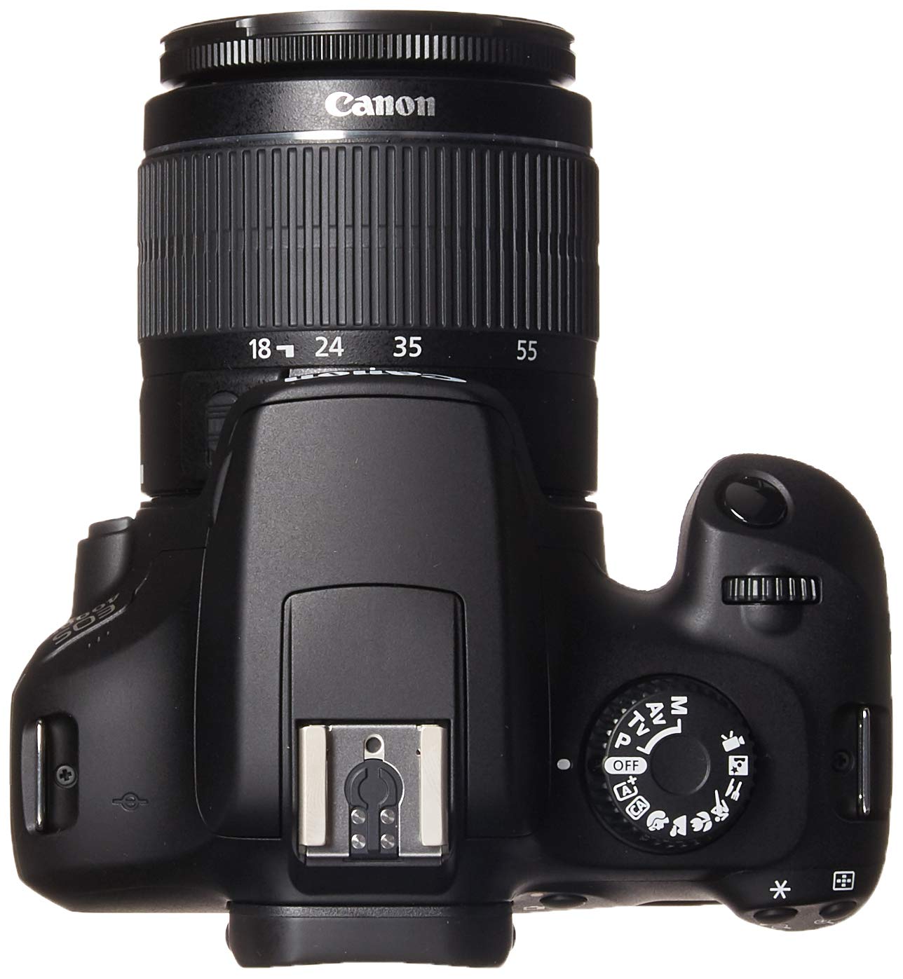 Canon EOS 4000D DSLR Camera EF-S 18-55 mm f/3.5-5.6 III Lens + Buzz-Photo Starter Kit - image 3 of 3