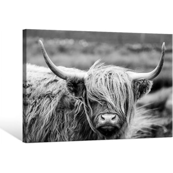 Aaheei Highland Cow Photography Wildlife Portrait Picture Black and White Closeup Animal Print Scottish Highland Cattle Farmhouse Artwork for Living Room Bedroom Office Decor