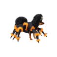 thumbnail image 2 of Spider Pup Costume, 2 of 3