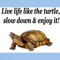 thumbnail image 3 of CafePress - LOVE A TURTLE Light T Shirt - Men's Classic Graphic T-Shirt, 3 of 4