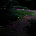 thumbnail image 5 of LumaBase Electric Pathway Lights with 10 Bulbs (Red and Green), 5 of 8