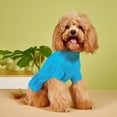 thumbnail image 3 of Apuakthei Pet Otoño Invierno suéter de color sólido tejido de masa frita ropa para perros, 3 of 6