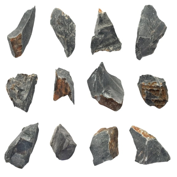 12PK Raw Chert, Mineral Specimens - Approx. 1" - Geologist Selected & Hand Processed - Great for Science Classrooms - Class Pack - Eisco Labs