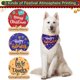 thumbnail image 4 of Paquete de 3 pañuelos para perros PAWCHIE ajustables para Navidad, 4 of 7