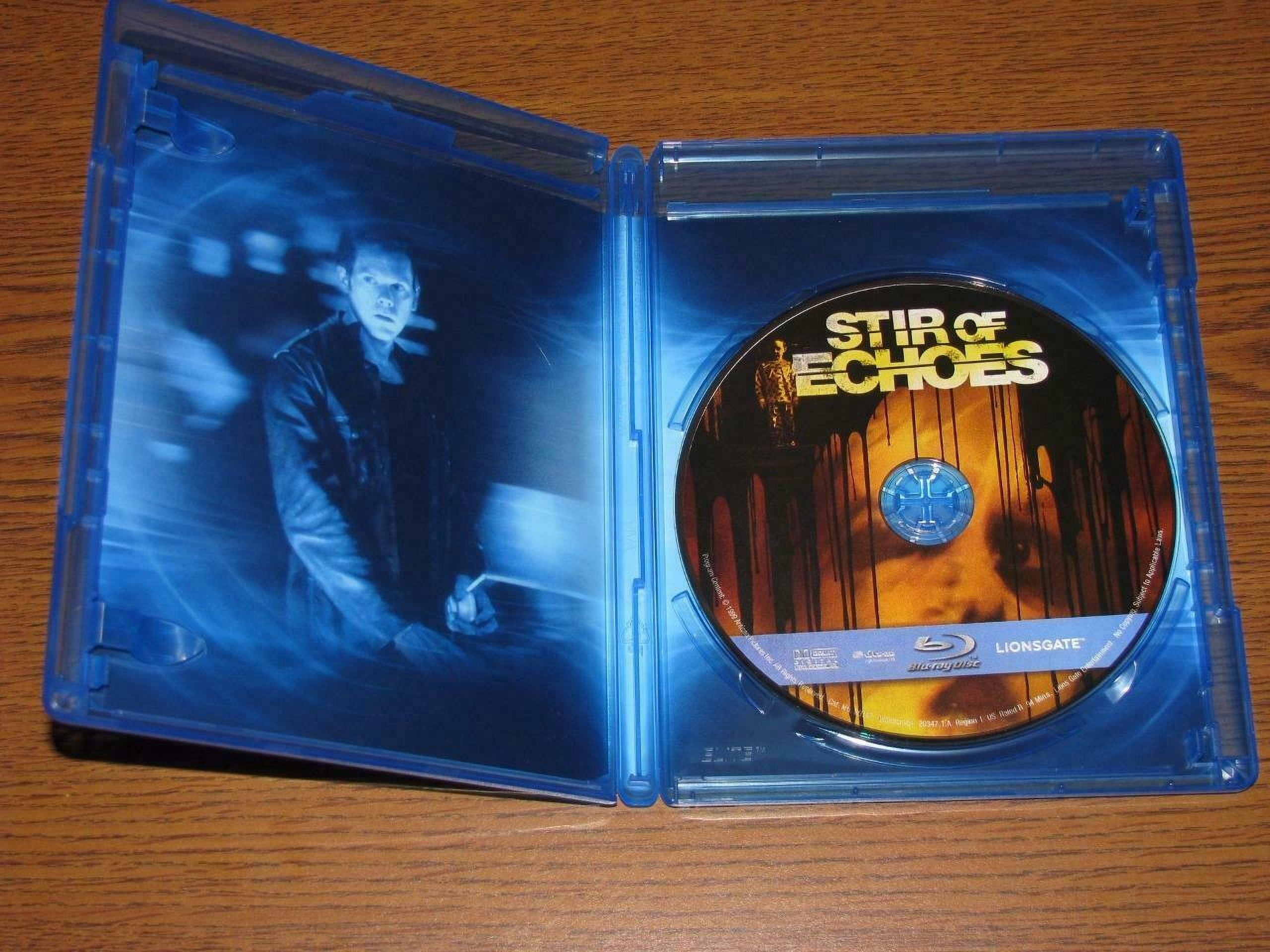 Stir of Echoes (Blu-Ray) Lionsgate Horror - Walmart.com