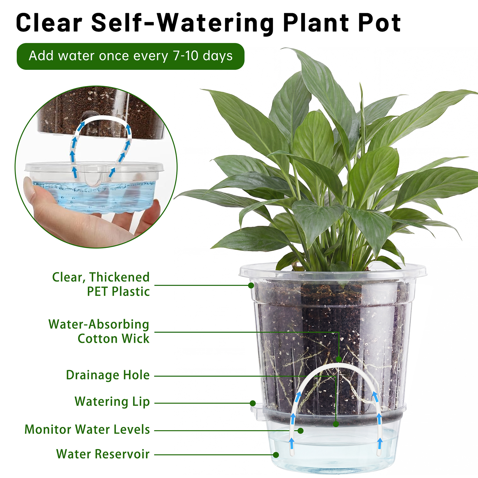 Xueyu 18-Pack Clear Self-Watering Plant Pots with Labels photo 3