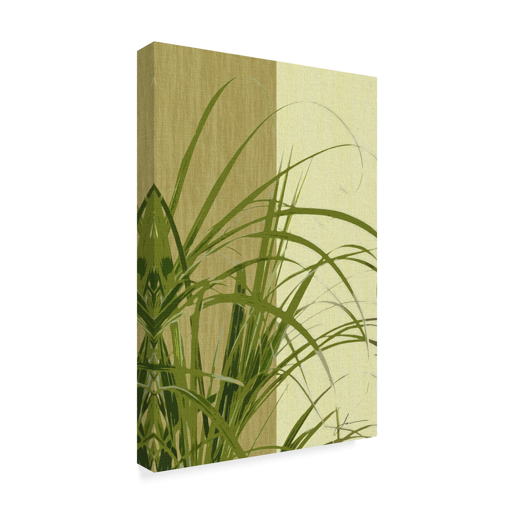 Trademark Fine Art 'Painted Contrast Leaves III' Canvas Art by James Burghardt