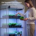 thumbnail image 3 of TOMNK 4 Tier LED Grow Light Greenhouse with Adjustable Height, 3 Color Spectrum, 27.2"W x 12.4"D x 62"H for Indoor Outdoor Plants, 3 of 8
