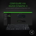 thumbnail image 7 of Razer BlackWidow Lite: Silent and Tactile Gaming Keyboard - Compact with Detachable Cable - Tenkeyless Design - Razer Orange Switches, 7 of 7