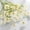 White, variant on 5PC Small 5 Branch Decoration Props Flower Ferns for Outdoors Dark Flowers Dried Flowers in Vase Valentines Day Flowers Valentines Floral Centerpieces for Tables Wedding Aisle Flowers Silk Mum