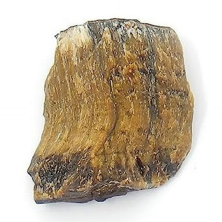 Astroghar Natural Tiger Eye Stone Crystal Raw Rough Uneven Shaped Chunk Crystals for Reiki and Chakras