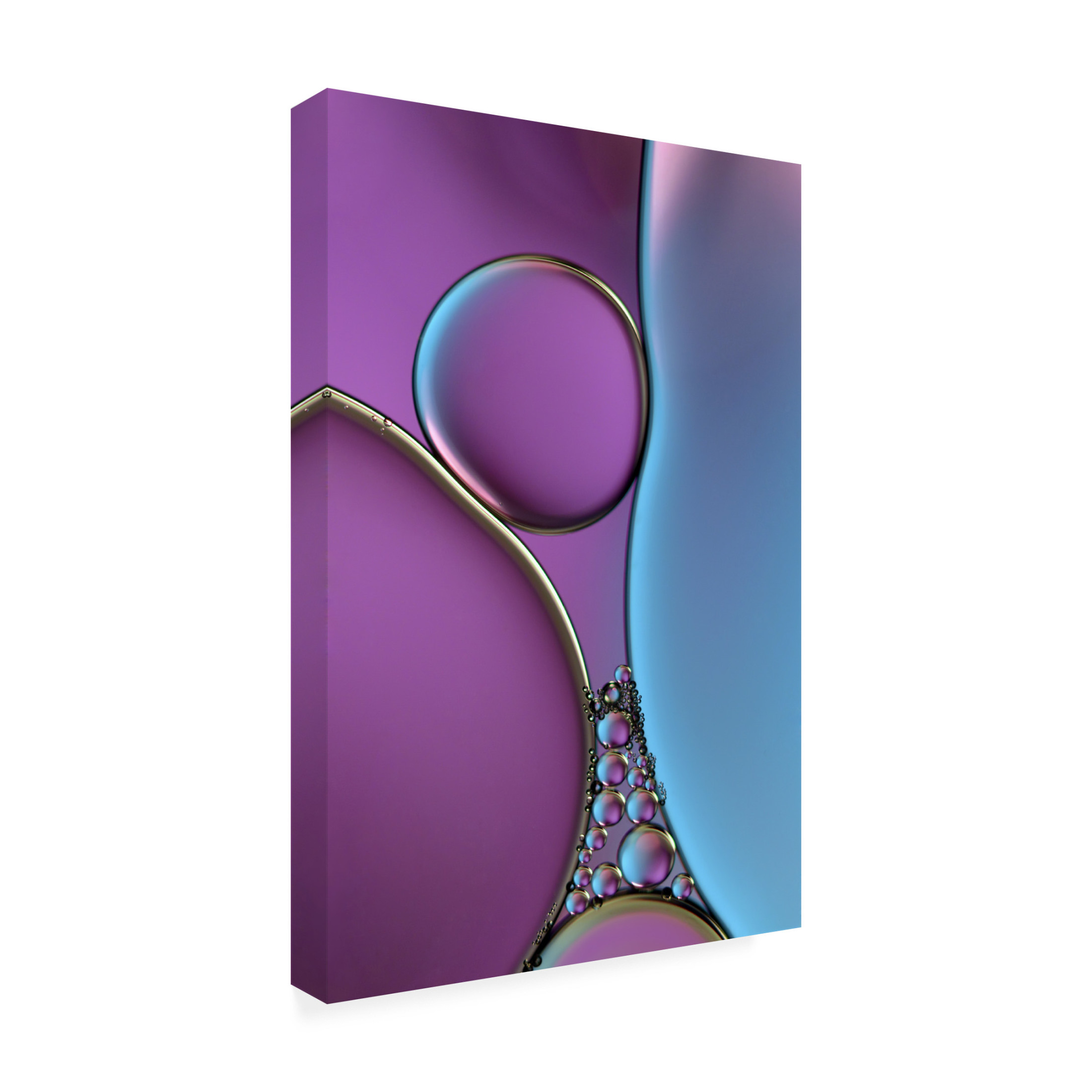 Canvas Wall Art - Heidi Westum 'Squeeze Me In !' Wall Art for Living Room, Bedroom, or Office D?cor by Trademark Fine Art - 16 x 24 Inches