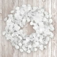 thumbnail image 4 of 24 in. Artificial Christmas Wreath, White, Winter Frost, 4 of 4