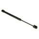 thumbnail image 2 of Soporte de Puerta a Gas RV Designer G19 43 cm 27 kg, 2 of 9