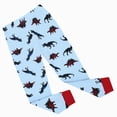 thumbnail image 4 of Paguaki Big Boys Pajamas Dinosaur Print Long Sleeve Top And Pants 2-Piece Set, 4 of 5