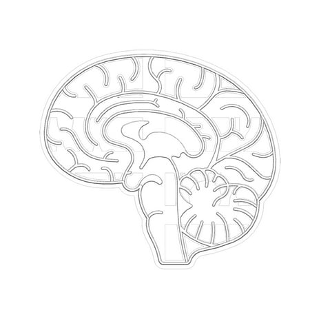 

George Brain Heart Cookie Grinder White Baking Tool Human Organ Cookie Mold