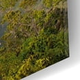 thumbnail image 3 of Epic Art 'Kauai Kalalou Canyon' by Mike Jones, Acrylic Glass Wall Art, 16"x12", 3 of 8