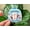1pcs, variant on Sagittarius Jacket Zodiac Signs Astrology Popular Zodiac Waterbottle Sticker