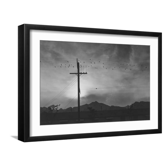 Art.com Birds on Wire, Evening Art Print by Ansel Adams, Black Frame Wall Art, 23" x 17"