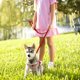 thumbnail image 5 of Soft Suede Leather Dog Harness and Leash Set Rhinestone Puppy Vest With Crystal Bone Pendant For Small Medium Pets Chihuahua ShopWise Round, 5 of 9