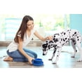 thumbnail image 4 of PetLike 2 Pack No Spill Pet Bowls. Moat Design Non-Skid Food & Water Bowls for Cats, Puppies, Small & Medium Dogs (Blue), 4 of 6
