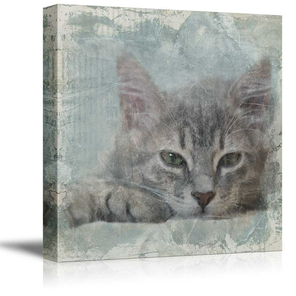 wall26 Square Cat Series Canvas Wall Art Cat with Grunge Background