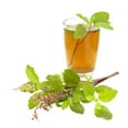thumbnail image 6 of Pride of India Vana Tulsi Holy Basil Tea, 3.53 oz, Cut and Sifted Dried Leaves, 6 of 8