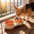 thumbnail image 5 of LEFXSMR Cat & Dog Bowls, Spill-proof Pet Cat Feeder for Drinking & Feeding, Slanted Cat Water Bowl for Pets Home Use, Beige, 5 of 7