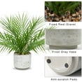 thumbnail image 3 of 16 inch Artificial Palm Fake Plants Faux Green Plant Tropical Palm Tree in Ceramic Pots Bohemian, 3 of 7