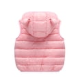 thumbnail image 4 of Godderr Girls Boys Puffer Down Vest for Toddler Baby 9M-5Y Sleeveless Fall Winter Jackets Bear Ear Hooded Waistcoat Padded Outwears with Zipper, 4 of 7