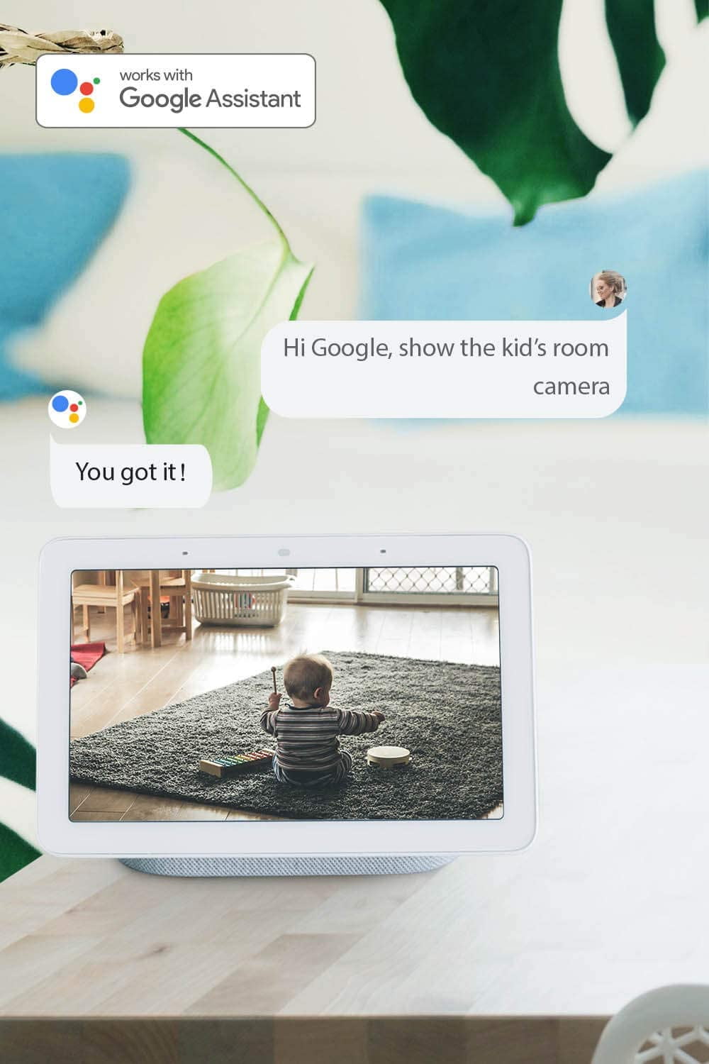 reolink argus 2 google assistant