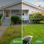 Walensee 15-Inch Lawn Thatching Rake, Robust Dethatcher Rake, Efficient Thatch Rake with Back Saving Handle, Versatile Grass Grooming Rake for Cleaning Dead Grass, Yard Garden Durable Thatch Rake